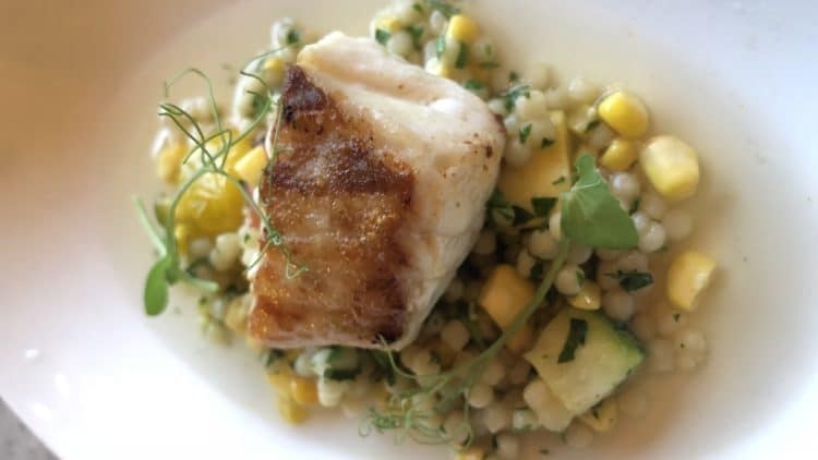 a close up of a plate of food with corn
