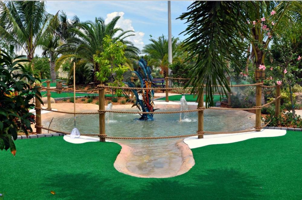 a pool next to a palm tree