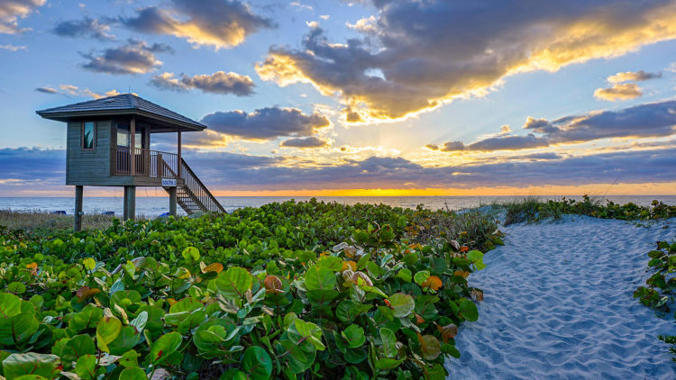 florida-delray-beach-sea-grapes-safe-guard-hut-sunset-750×422 a large body of water