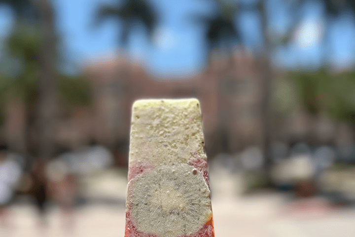 Hand holding a colorful popsicle with blurred palm trees in the background.